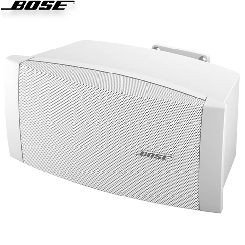 Loa Bose FreeSpace DS 100SE 12